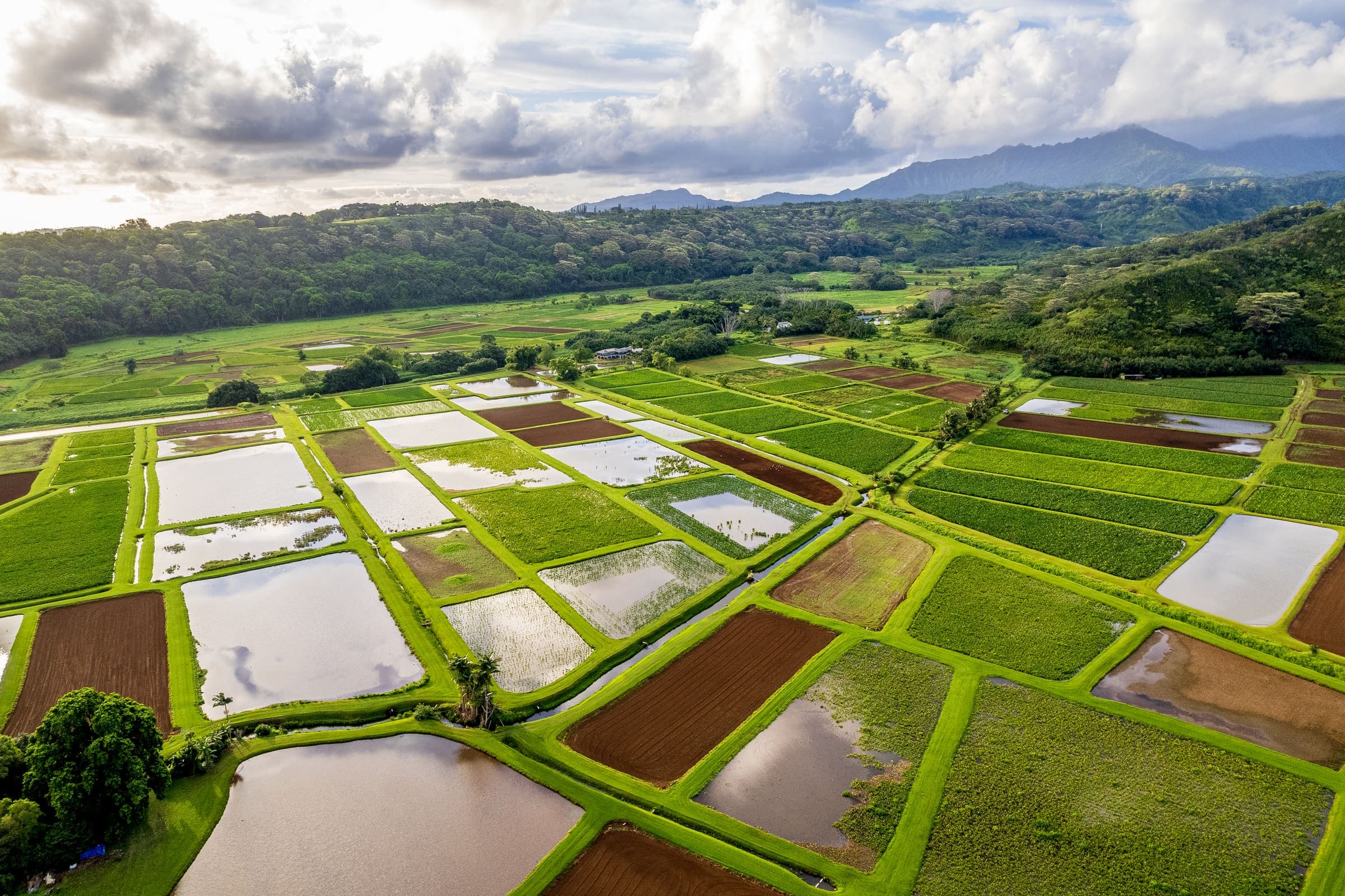 Aerial view of a patchwork of farm fields in a green valley on Kauaʻi, with one field marked by a pin